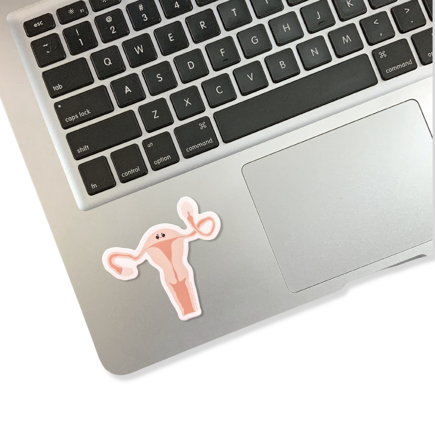 Fuck Uterus Sticker